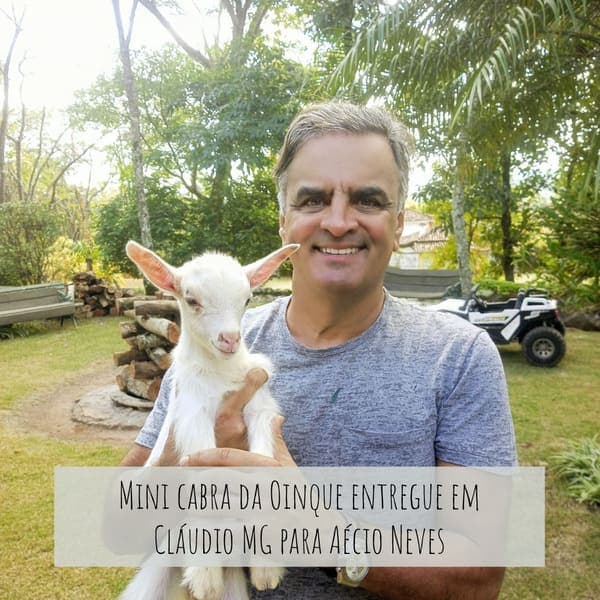 Deputado Aécio Neves com sua mini cabra