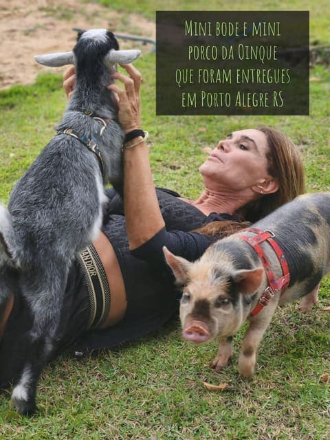 Empresária do RS curtindo seu mini bode e mini porco