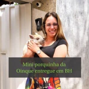 Mini porquinha entregue em Belo Horizonte MG