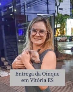 Mini porco entregue em Vitória ES