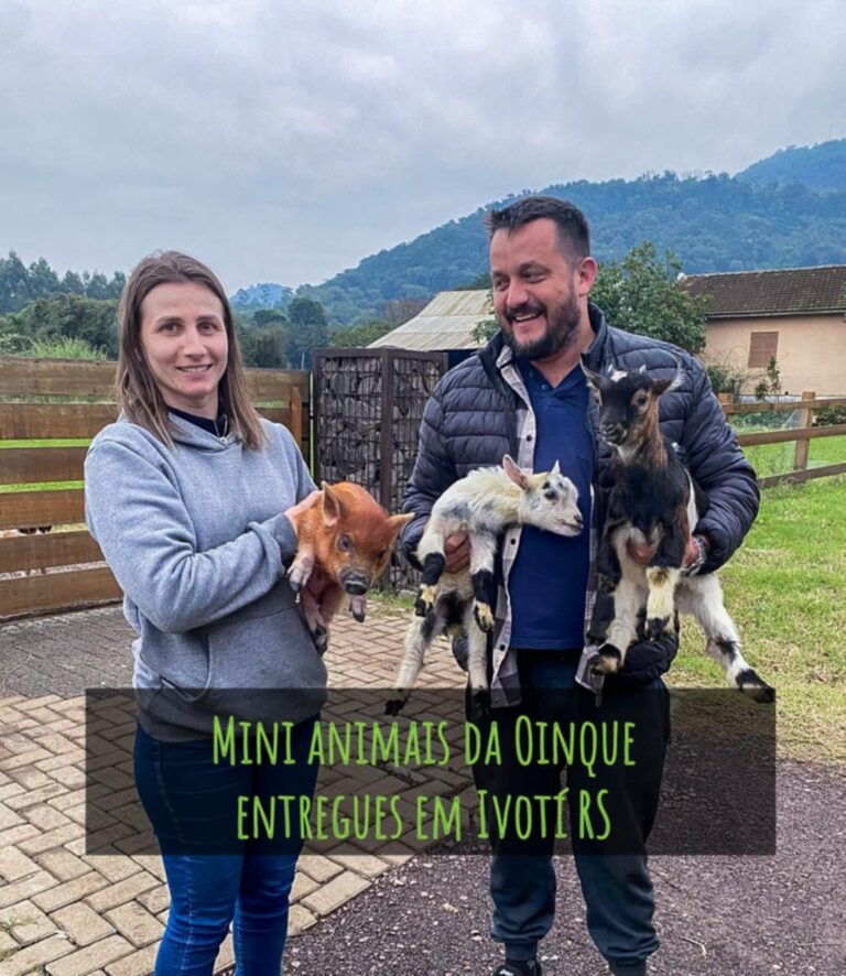 Mini animais entregues em Ivotí RS
