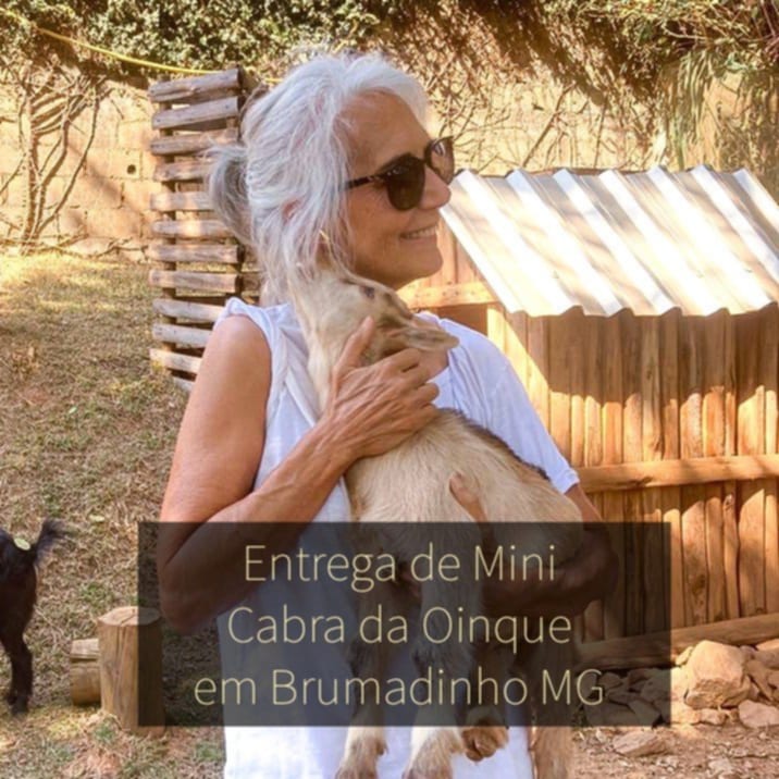 Mini bode entregue em Brumadinho MG