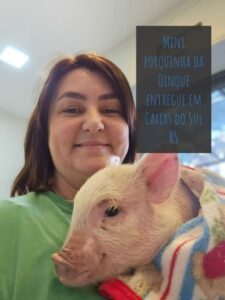 Mini porquinha entregue em Caxias do Sul RS