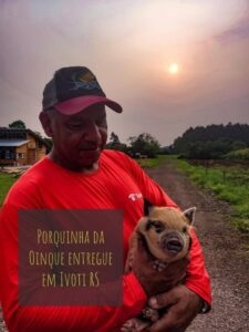 Mini pig da Oinque entregue em Ivotí RS