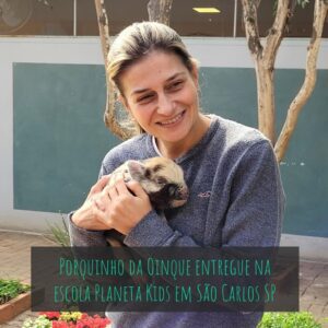 Mini porco da Oinque entregue na escola Planeta Kids em SP