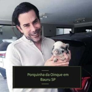 Porquinha da Oinque entregue em Bauru SP