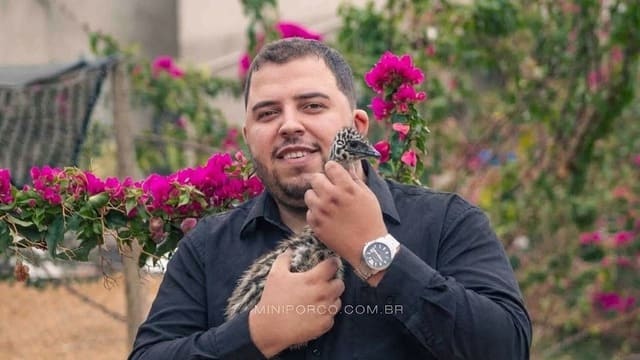 Criador com filhote de emu australiano no colo